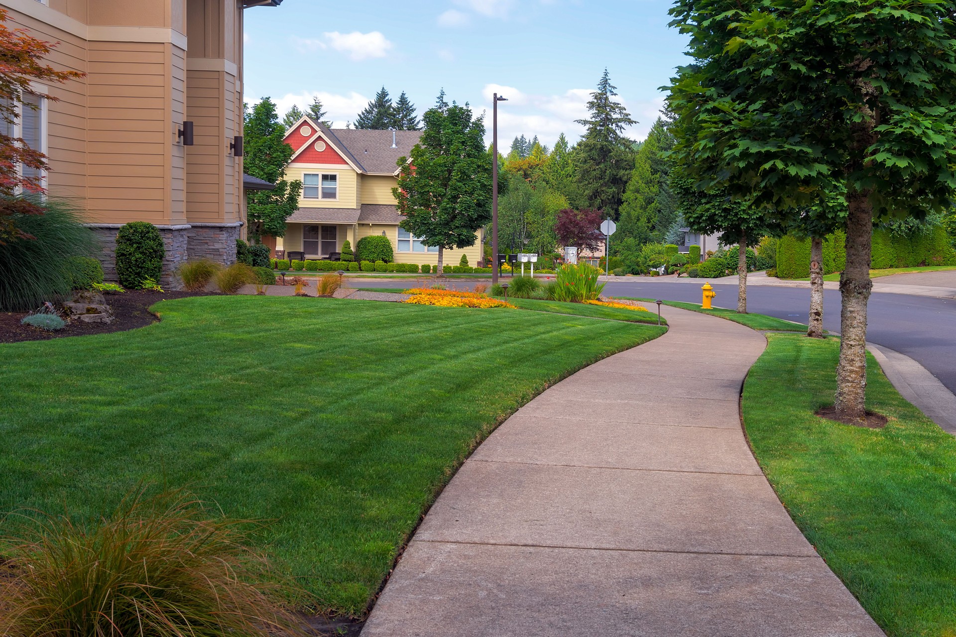 House frontyard and parking strip freshly mowed green grass lawn in North American suburban neighborhood