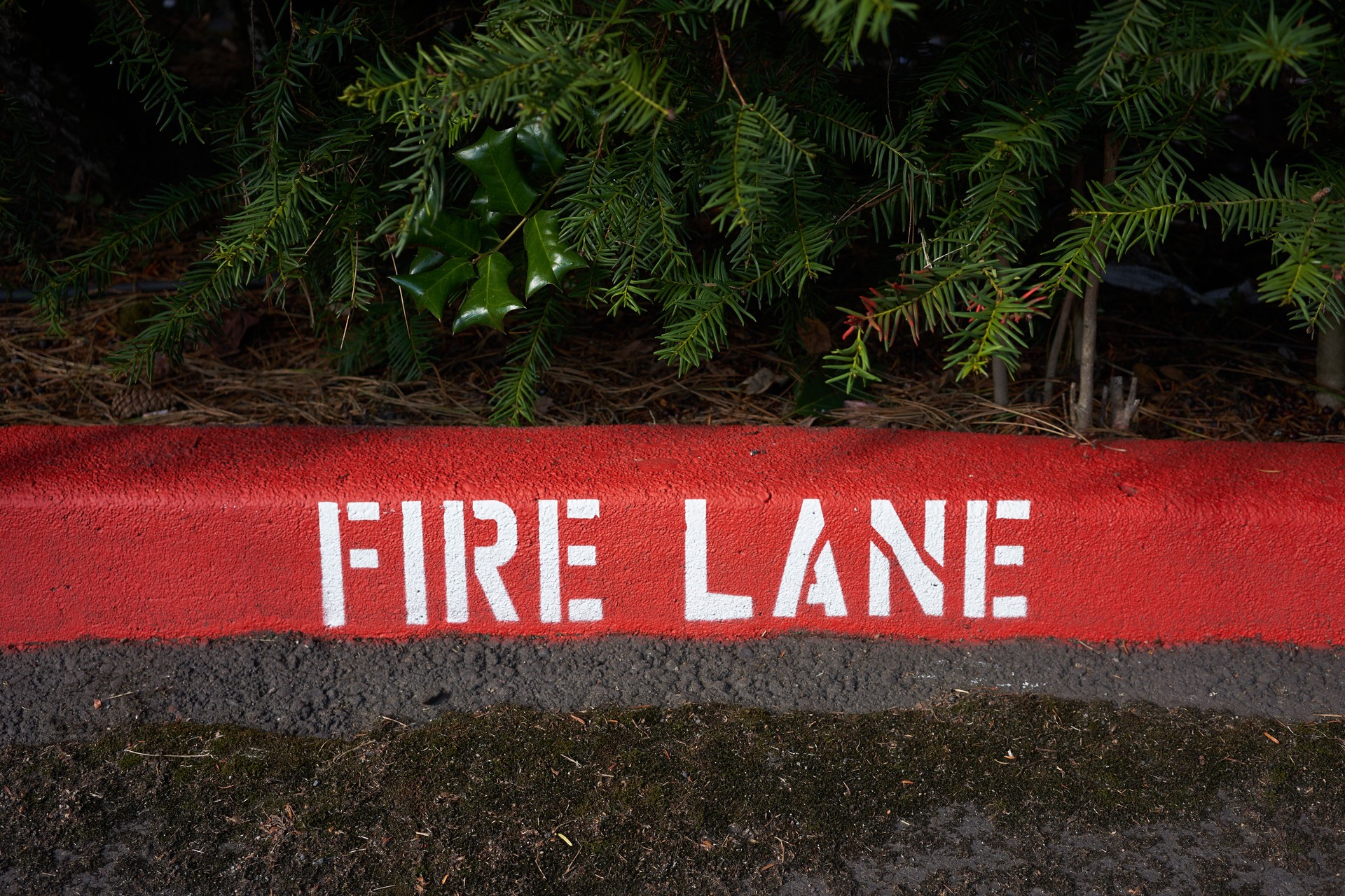 Fire Lane Markings